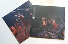 Load image into Gallery viewer, Vica Pacheco – Symplegmata - ElMuelle1931