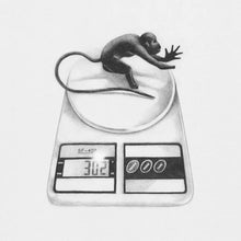 Load image into Gallery viewer, Voice Actor - Fake Sleep - ElMuelle1931