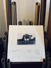 Load image into Gallery viewer, World Standard - Asagao - ElMuelle1931