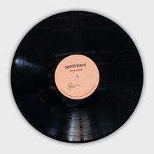 Load image into Gallery viewer, Claire Rousay – Sentiment
