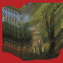 Load image into Gallery viewer, Atef Swaitat &amp; Abu Ali - Palestinian Bedouin Psychedelic Dabka Archive
