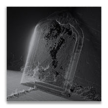 Load image into Gallery viewer, Visible Cloaks – Paradessence
