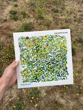 Load image into Gallery viewer, The Spatulas – A Blue Dot
