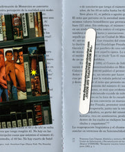 Load image into Gallery viewer, Glory Holes. Carlo Canún
