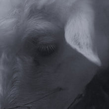 Load image into Gallery viewer, Emer ft. Ugnė Uma – You And Me
