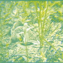 Load image into Gallery viewer, Early Music – Reeds
