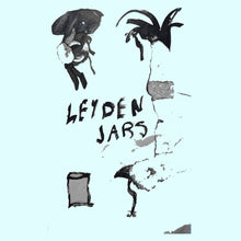 Load image into Gallery viewer, Leyden Jars –  Illusory Truths
