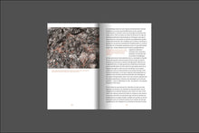 Load image into Gallery viewer, Agenciamientos ecológicos: arte y gobernanza en la era de la crisis climática - ElMuelle1931
