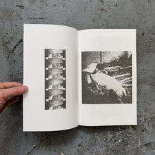 Load image into Gallery viewer, Alain Pierre - Vase de Noces - ElMuelle1931
