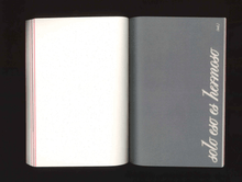 Load image into Gallery viewer, Amorzine - Alba Acebes - ElMuelle1931
