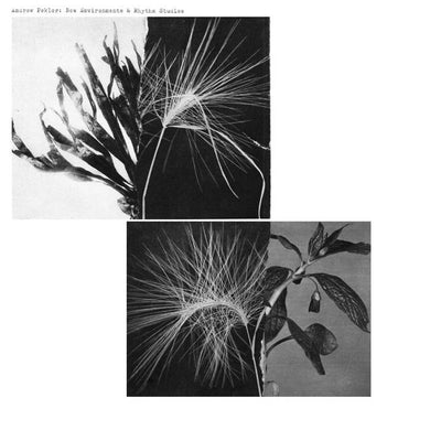 Andrew Pekler - New Environments & Rhythm Studies - ElMuelle1931