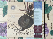 Load image into Gallery viewer, Ben LaMar Gay - Yowzers - ElMuelle1931
