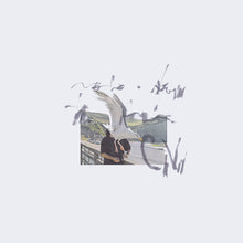 Load image into Gallery viewer, Ciro Vitiello – notes from the air - ElMuelle1931
