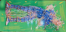 Load image into Gallery viewer, David Byrne With Ghost Train Orchestra - Who Is The Sky? - ElMuelle1931
