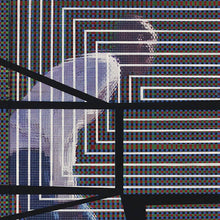 Load image into Gallery viewer, David Grubbs - The Plain Where The Palace Stood - ElMuelle1931
