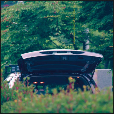 Eiko Ishibashi & Jim O'Rourke – Pareidolia - ElMuelle1931