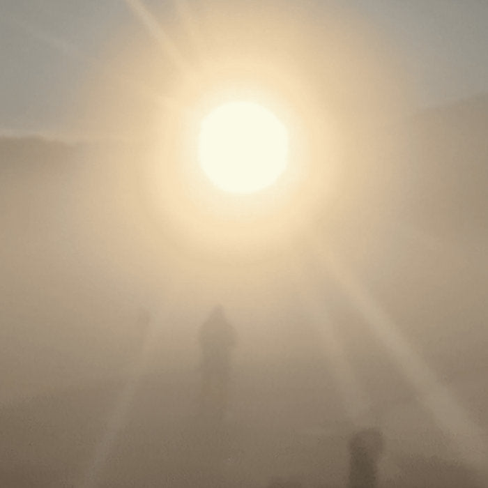 Florian T M Zeisig - A New Life - ElMuelle1931