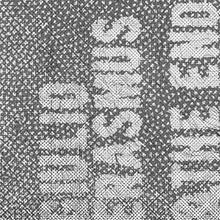 Load image into Gallery viewer, Giulio Erasmus &amp; The end of the worm - Live at Meakusma Festival 2024 - ElMuelle1931
