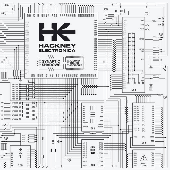 Hackney Electronica - Synaptic Shadows: A Journey Through The Circuit - ElMuelle1931