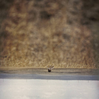 Jim O'Rourke - Hands That Bind - ElMuelle1931