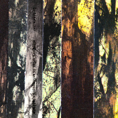 L. Linebacker - Vibratory Noise in Anthropogenic Habitats - ElMuelle1931