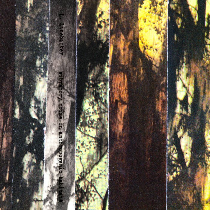 L. Linebacker - Vibratory Noise in Anthropogenic Habitats - ElMuelle1931