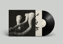 Load image into Gallery viewer, Läuten Der Seele - Unterhaltungen Mit Larven Und Überresten - ElMuelle1931
