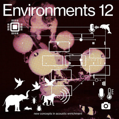 Machine Listening - Environments 12: New Concepts In Acoustic Enrichment - ElMuelle1931