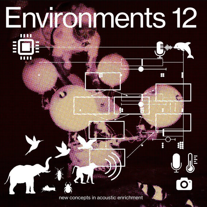 Machine Listening - Environments 12: New Concepts In Acoustic Enrichment - ElMuelle1931