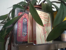 Load image into Gallery viewer, Milan - Reggae Go - ElMuelle1931
