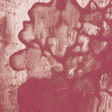 Load image into Gallery viewer, Nad Spiro – Loop Blood - ElMuelle1931
