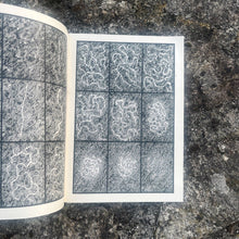 Load image into Gallery viewer, O ESPECTRO VISIBLE - Brais Rodríguez - ElMuelle1931

