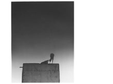 Load image into Gallery viewer, Ø – Sysivalo - ElMuelle1931
