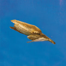 Load image into Gallery viewer, Or Sobre Blau – Making Friends - ElMuelle1931
