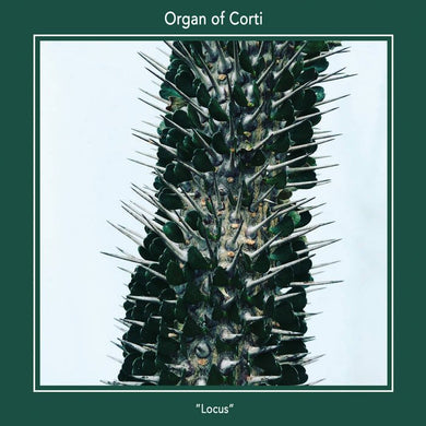 Organ Of Corti - Locus - ElMuelle1931