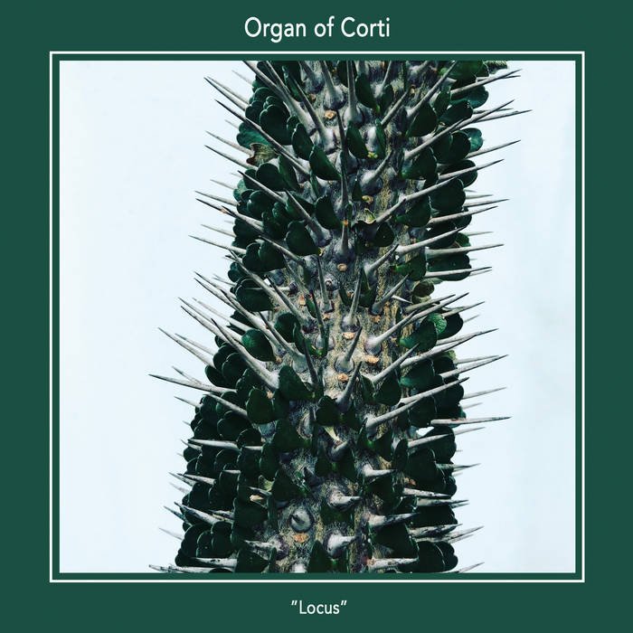 Organ Of Corti - Locus - ElMuelle1931