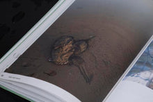 Load image into Gallery viewer, Reset Mar Menor. Laboratorio de imaginarios para un paisaje en crisis - ElMuelle1931
