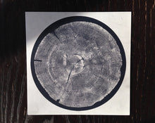 Load image into Gallery viewer, Roy Montgomery - R: Tropic of Anodyne - ElMuelle1931
