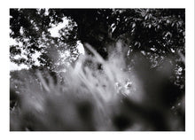Load image into Gallery viewer, Scythe - Head X&#39;Change - ElMuelle1931

