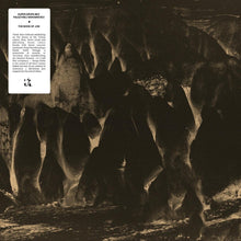 Load image into Gallery viewer, Super Grupa Bez Fałszywej Skromności – The Book Of Job - ElMuelle1931
