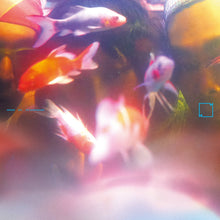 Load image into Gallery viewer, SY3 – 梦游 Sleepwalker - ElMuelle1931
