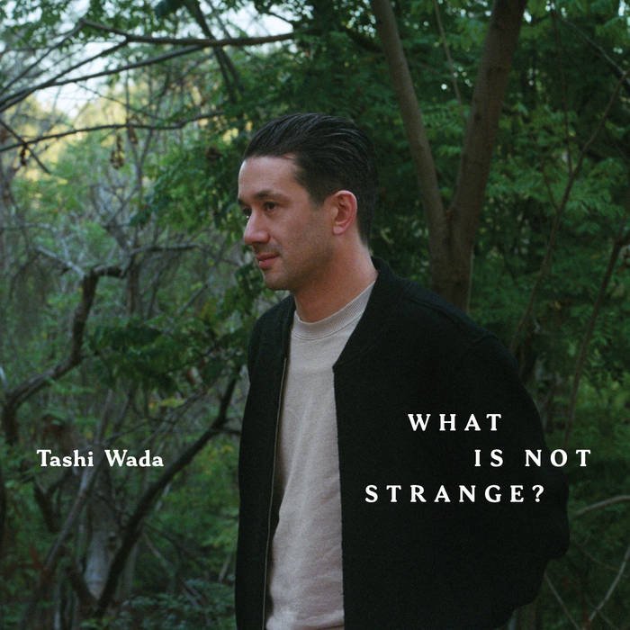 Tashi Wada - What Is Not Strange? - ElMuelle1931