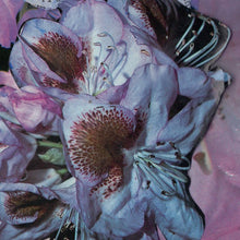 Load image into Gallery viewer, Teresa Winter - Proserpine - ElMuelle1931
