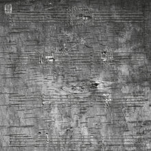 Load image into Gallery viewer, Timothy Archambault - Onimikìg - ElMuelle1931
