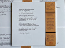 Load image into Gallery viewer, Tomin - A Willed And Conscious Balance - ElMuelle1931
