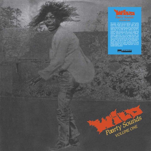 Various - Wild Paarty Sounds vol 1 - ElMuelle1931