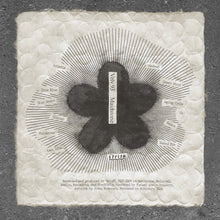 Load image into Gallery viewer, Velv.93 – Maidstone - ElMuelle1931
