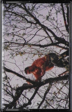 Load image into Gallery viewer, Vibration Of Words – Jazz Poetry From Hungary - ElMuelle1931
