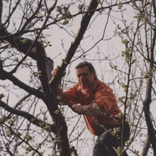 Load image into Gallery viewer, Vibration Of Words – Jazz Poetry From Hungary - ElMuelle1931
