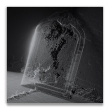 Load image into Gallery viewer, Visible Cloaks – Paradessence - ElMuelle1931
